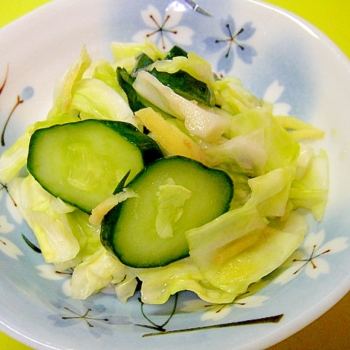 キャベツときゅうり生姜の浅漬け レシピ 作り方 By Mint74 楽天レシピ キャベツときゅうり生姜の浅漬け レシピ 作り方 By Mint74 楽天レシピ